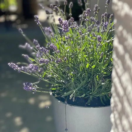 Hotel Auerstein-hotels Auerstein & Auerstein-mono