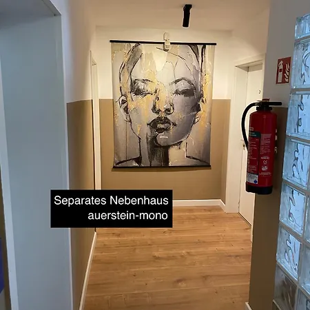 Auerstein-hotels Auerstein & Auerstein-mono 3* Heidelberg