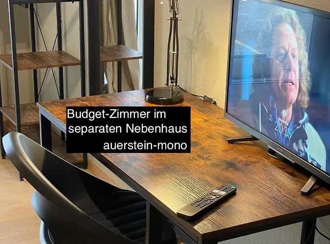 Auerstein-hotels Auerstein & Auerstein-mono היידלברג