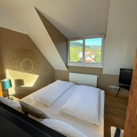 Отель Auerstein-hotels Auerstein & Auerstein-mono Хайдельберг