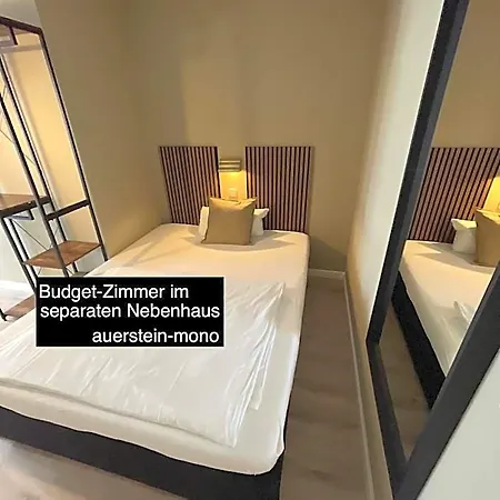 Auerstein-hotels Auerstein & Auerstein-mono 3* Хайдельберг
