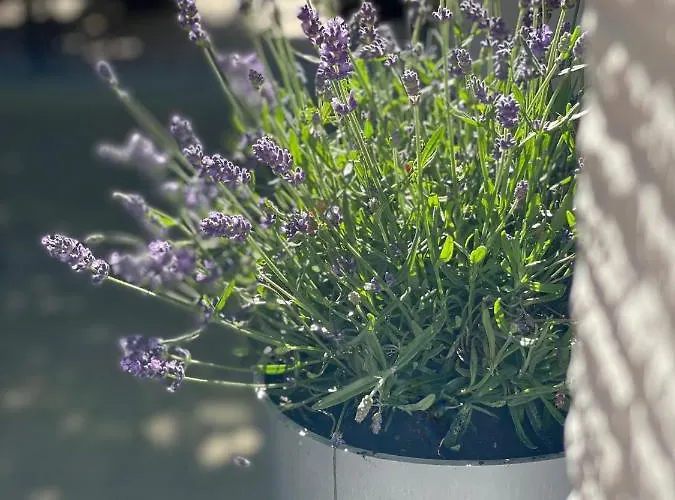 Hotel Auerstein-hotels Auerstein & Auerstein-mono