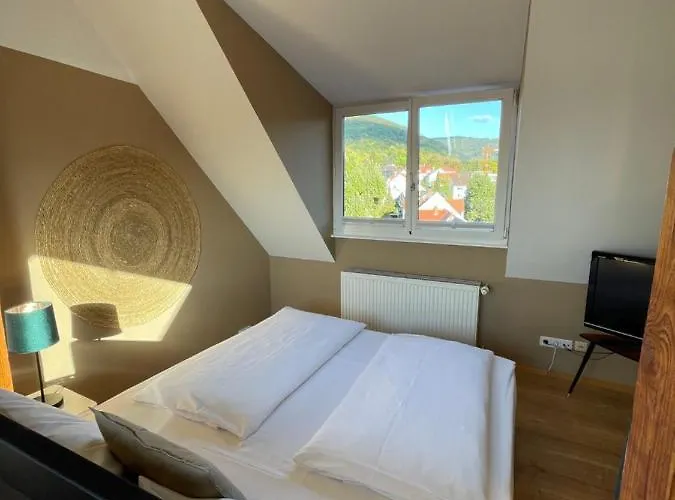 Hotell Auerstein-hotels Auerstein & Auerstein-mono Heidelberg