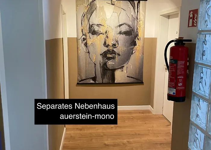 Auerstein-hotels Auerstein & Auerstein-mono 3* هايدلبرغ